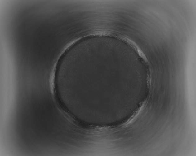 X0000102310484200808221449