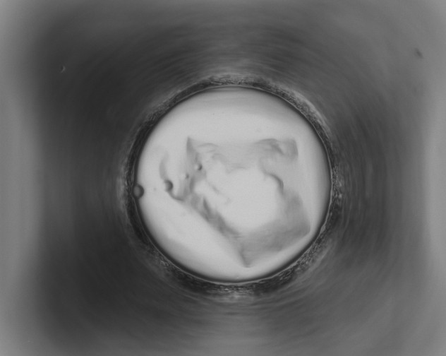 X0000102310487200808221449