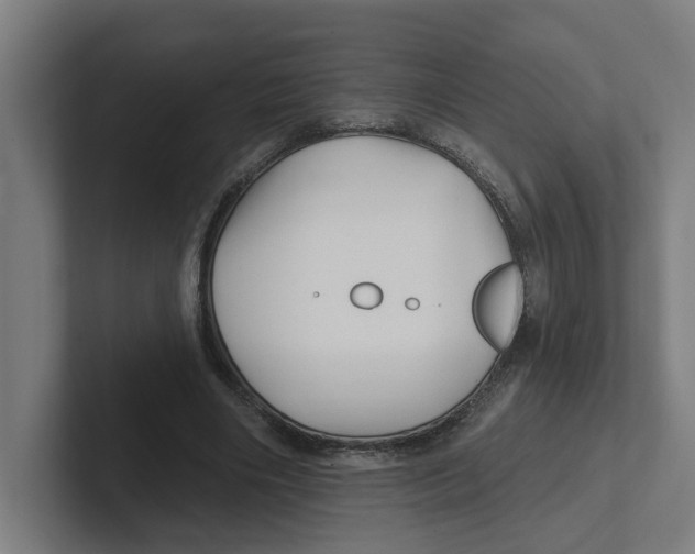 X0000102310490200808221449