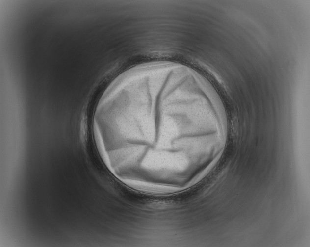 X0000102310494200808221449