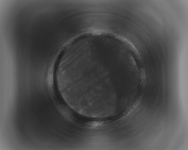 X0000102310496200808221449