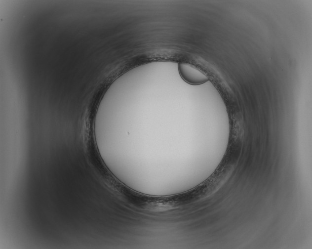 X0000102310498200808221449