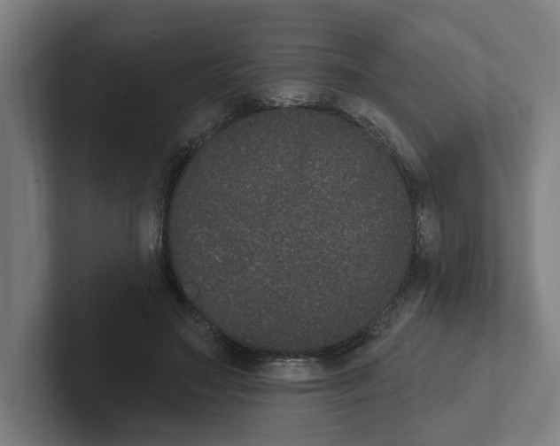 X0000102310499200808221449