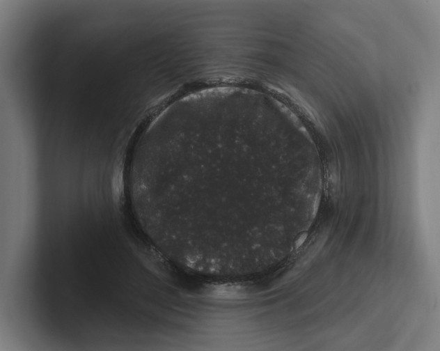 X0000102310500200808221449