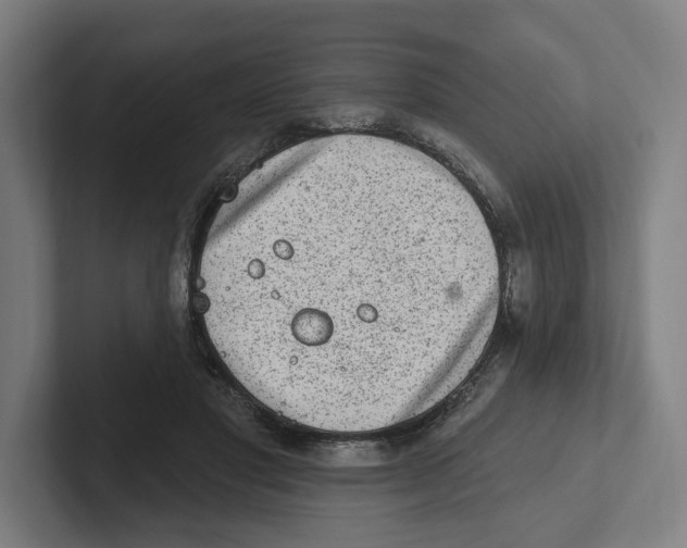 X0000102310501200808221449