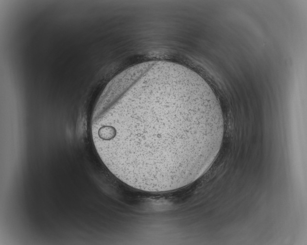 X0000102310502200808221449