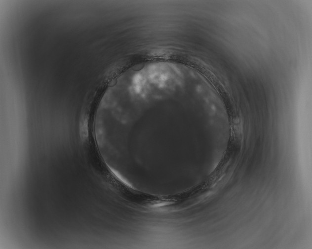 X0000102310504200808221449