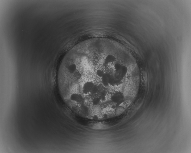 X0000102310507200808221449