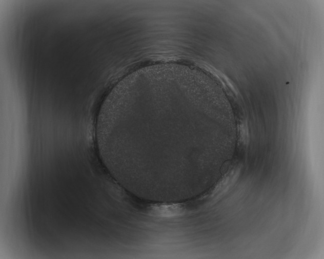 X0000102310517200808221449