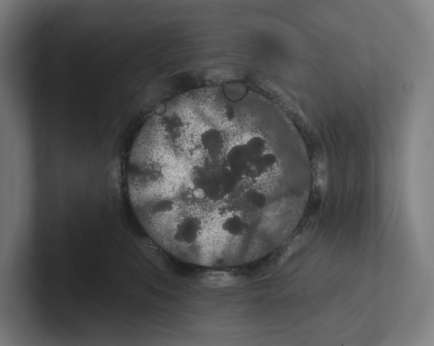 X0000102310519200808221449