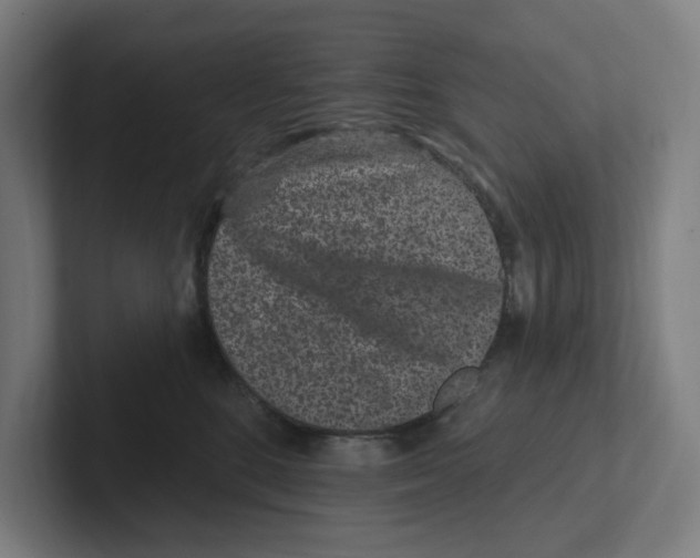 X0000102310520200808221449