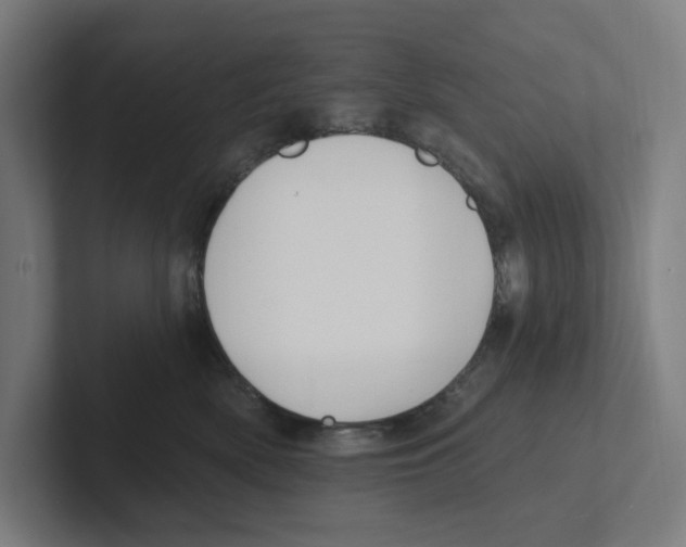 X0000102310522200808221449