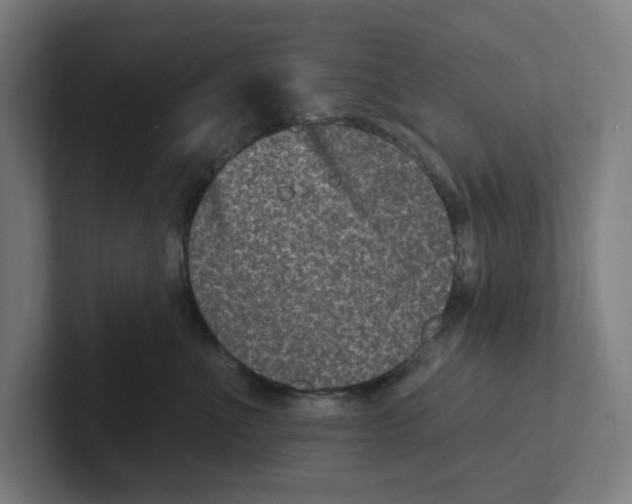 X0000102310523200808221449