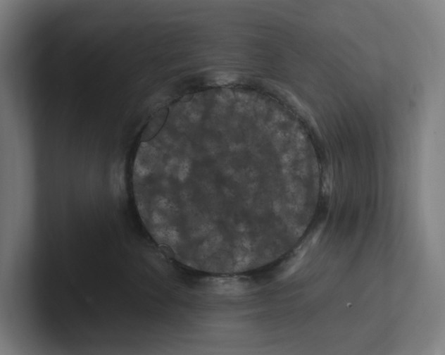 X0000102310524200808221449