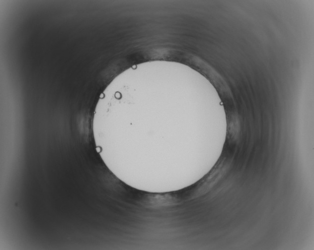 X0000102310525200808221449