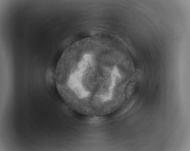 X0000102310527200808221449
