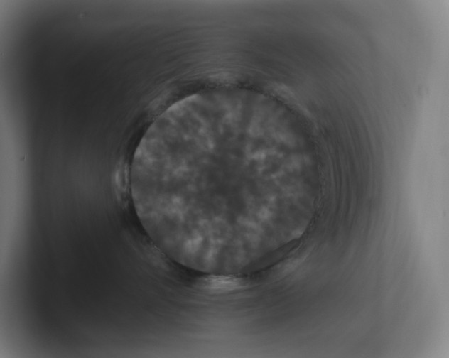 X0000102310528200808221449