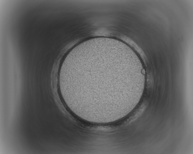 X0000102310529200808221448