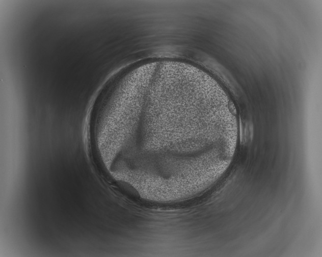 X0000102310531200808221448