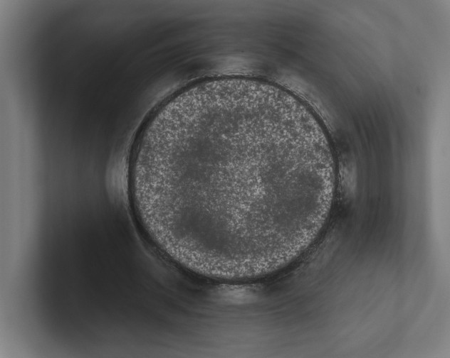 X0000102310534200808221448
