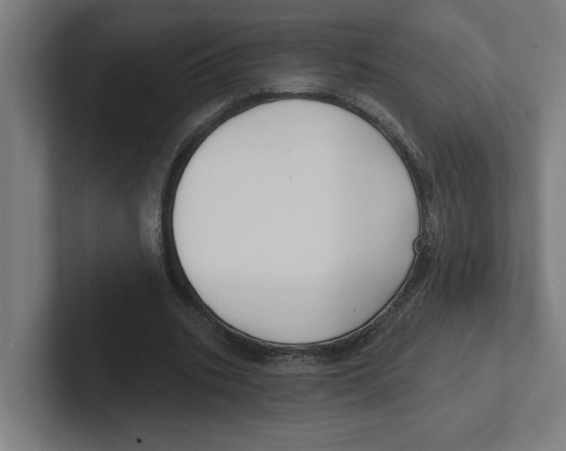 X0000102310535200808221448