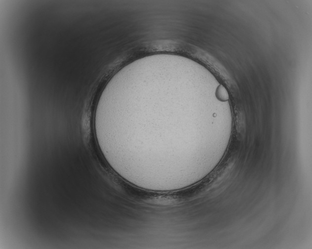 X0000102310537200808221448