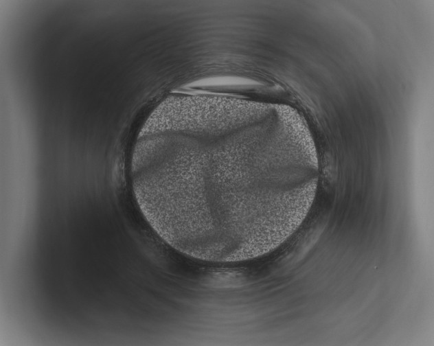 X0000102310547200808221448