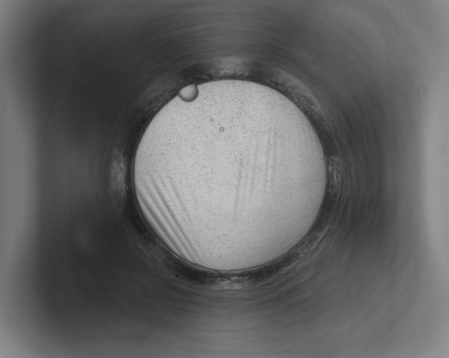 X0000102310550200808221448