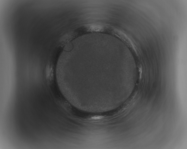 X0000102310551200808221448