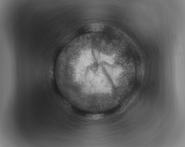 X0000102310553200808221448