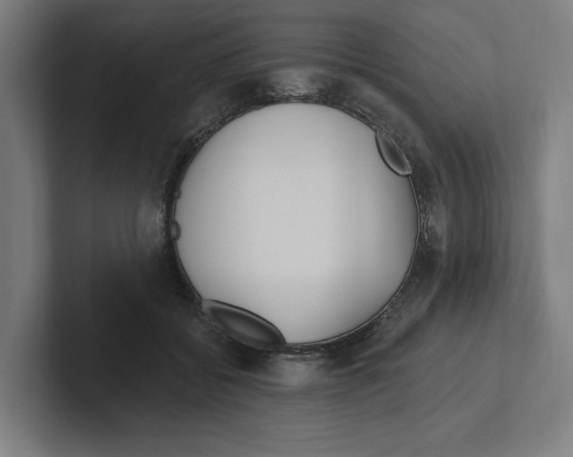 X0000102310556200808221448