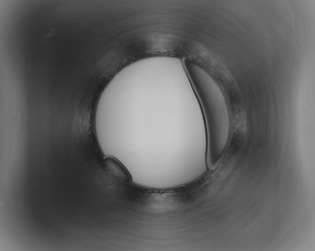 X0000102310560200808221448