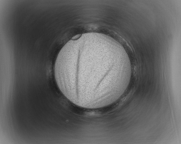 X0000102310561200808221448