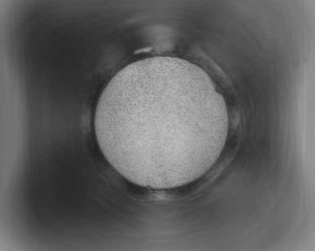X0000102310565200808221448