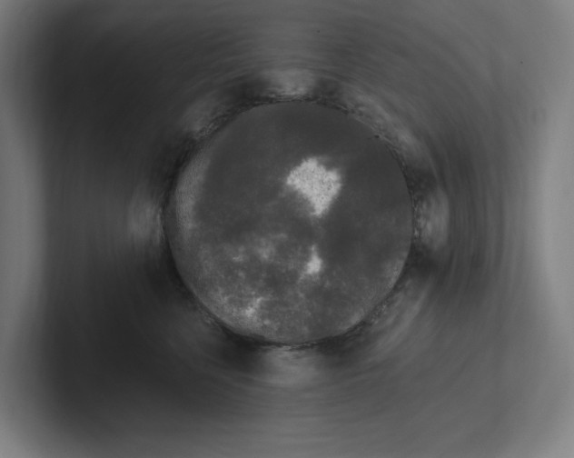 X0000102310568200808221449