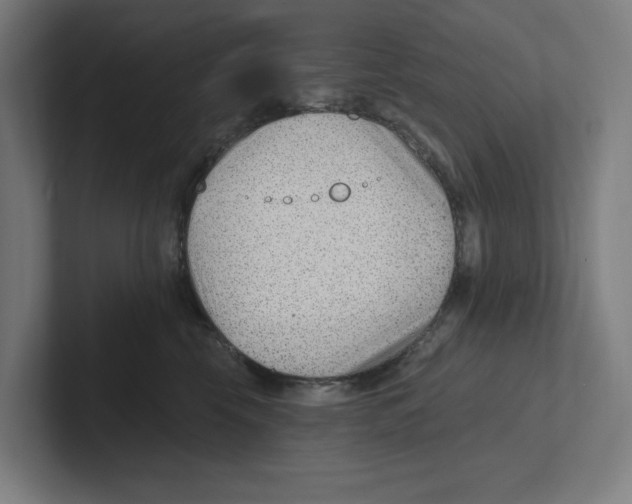 X0000102310569200808221449