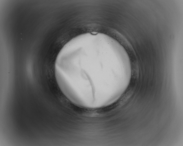 X0000102310573200808221449