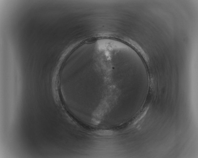 X0000102310577200808221448