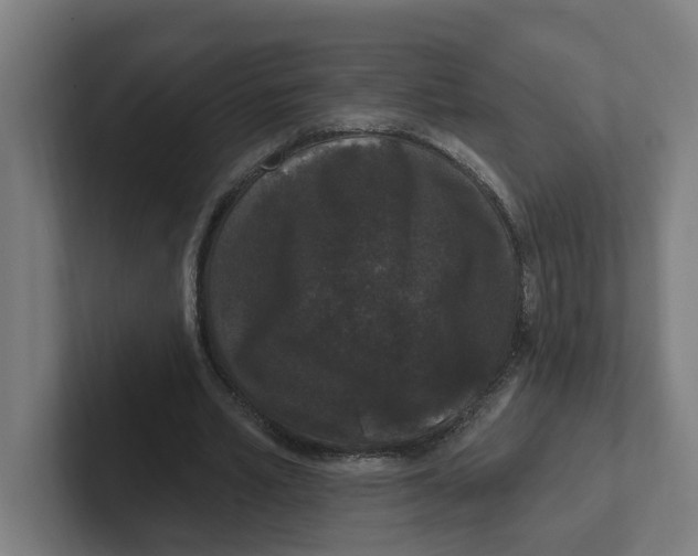 X0000102310581200808221448