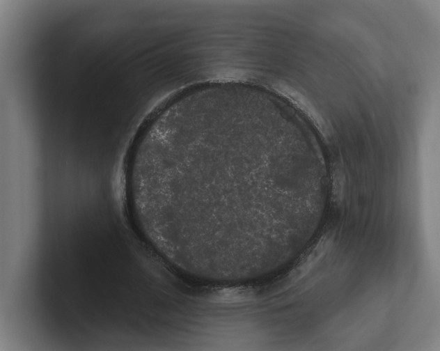 X0000102310584200808221448