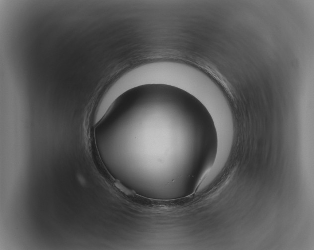 X0000102310585200808221448