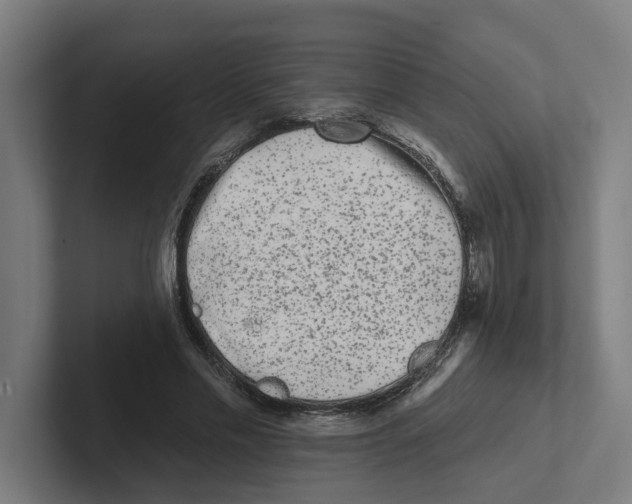 X0000102310589200808221448