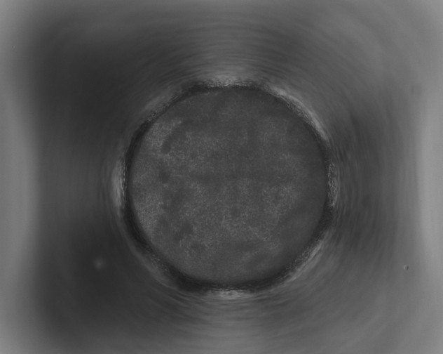 X0000102310590200808221448