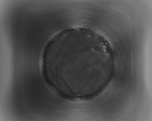 X0000102310592200808221448