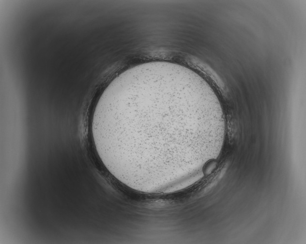 X0000102310593200808221448