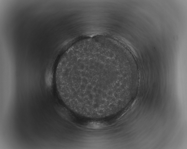 X0000102310596200808221448