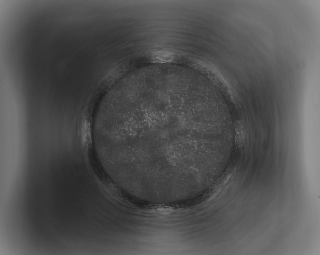 X0000102310598200808221448