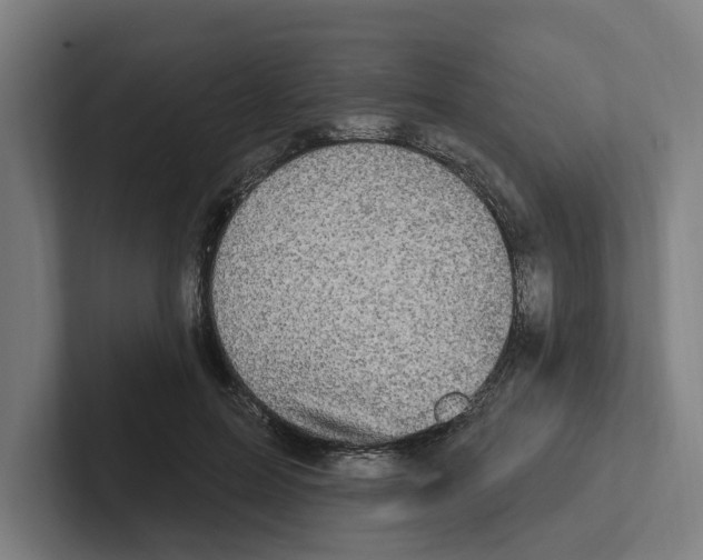 X0000102310599200808221448