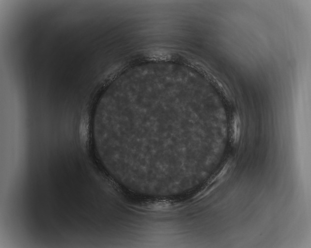 X0000102310600200808221448