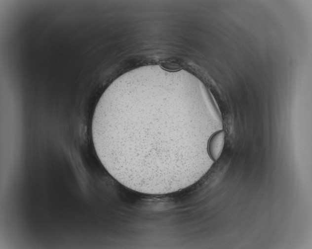 X0000102310615200808221447